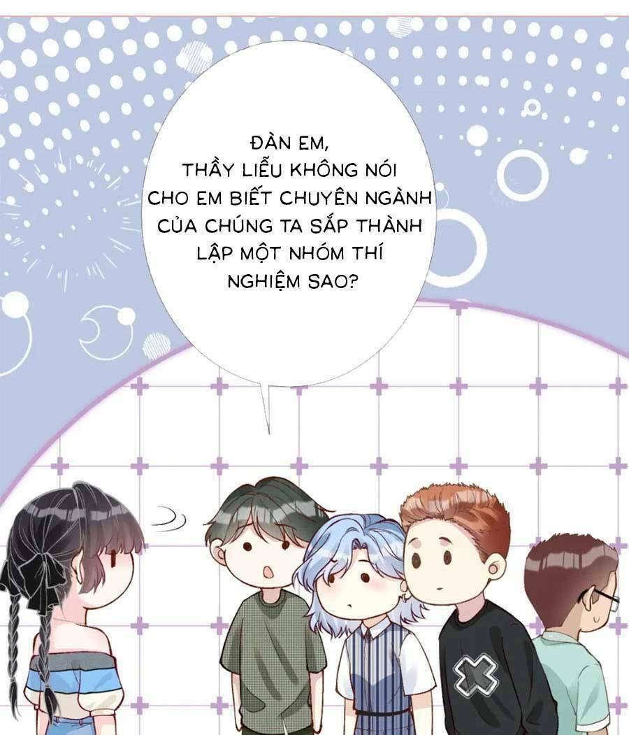 Ôm Khẩn Tiểu Mã Giáp Của Tôi Chapter 202 - Trang 2