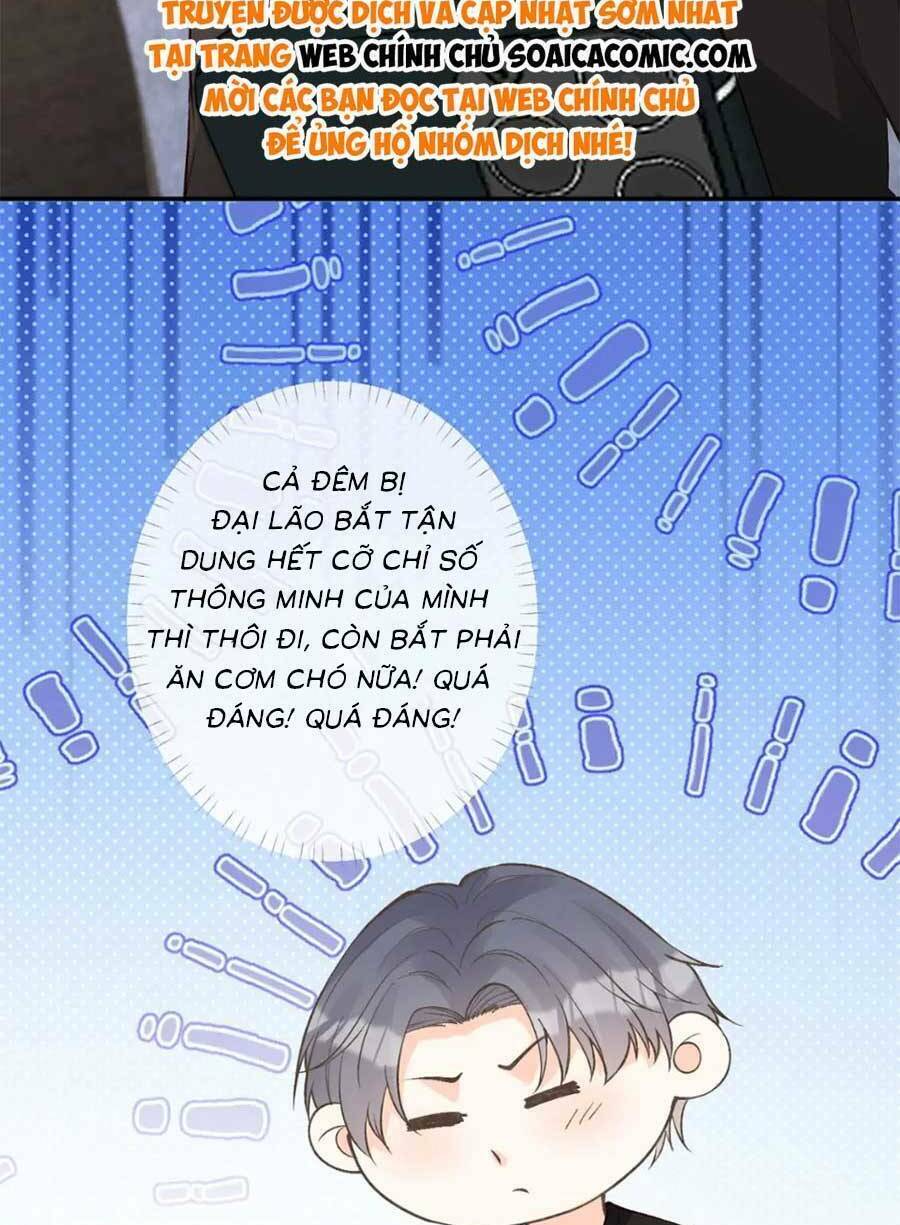 Ôm Khẩn Tiểu Mã Giáp Của Tôi Chapter 202 - Trang 2