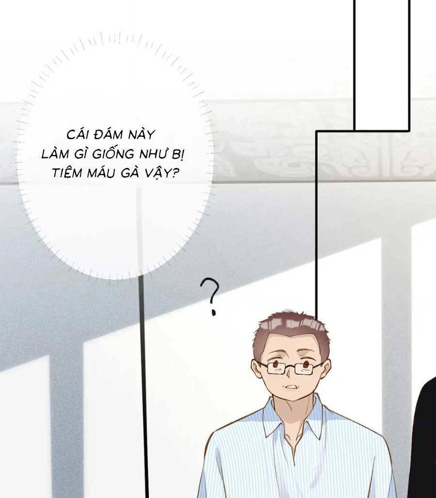 Ôm Khẩn Tiểu Mã Giáp Của Tôi Chapter 203 - Trang 2