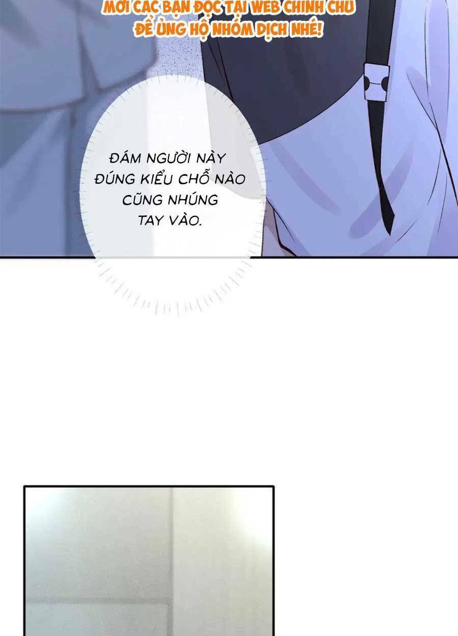 Ôm Khẩn Tiểu Mã Giáp Của Tôi Chapter 204 - Trang 2