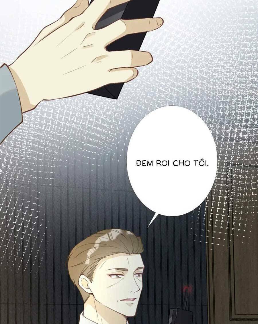 Ôm Khẩn Tiểu Mã Giáp Của Tôi Chapter 205 - Trang 2