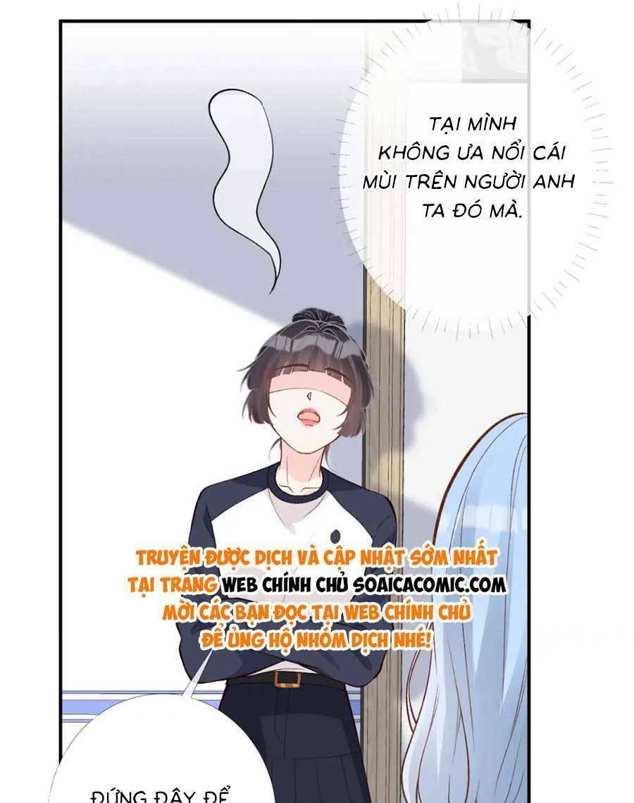 Ôm Khẩn Tiểu Mã Giáp Của Tôi Chapter 209 - Trang 2