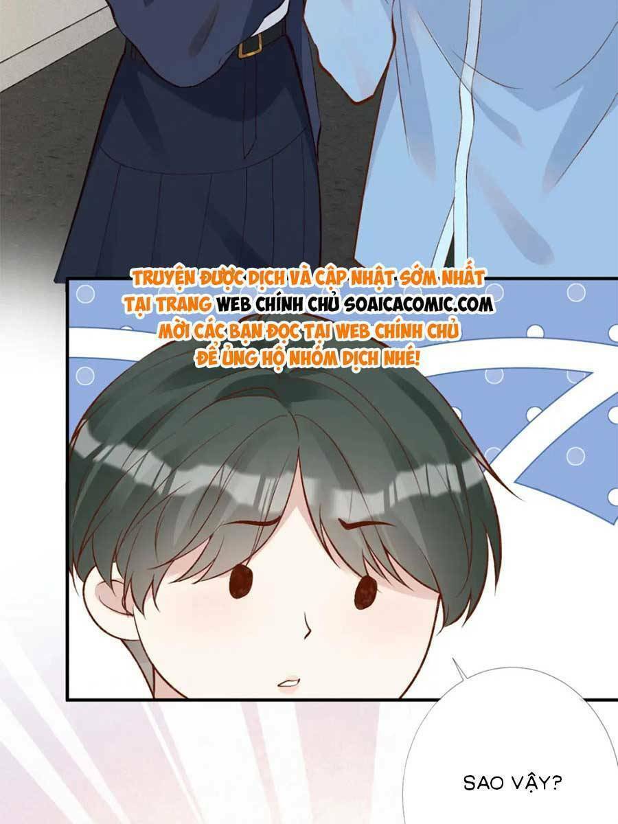 Ôm Khẩn Tiểu Mã Giáp Của Tôi Chapter 209 - Trang 2