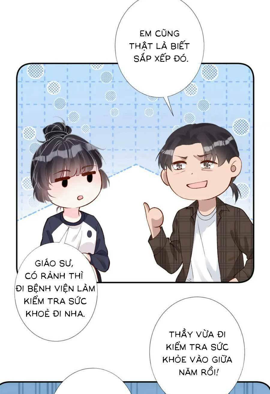 Ôm Khẩn Tiểu Mã Giáp Của Tôi Chapter 211 - Trang 2