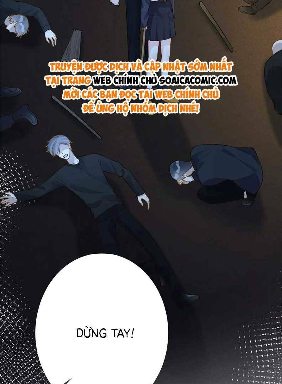 Ôm Khẩn Tiểu Mã Giáp Của Tôi Chapter 214 - Trang 2