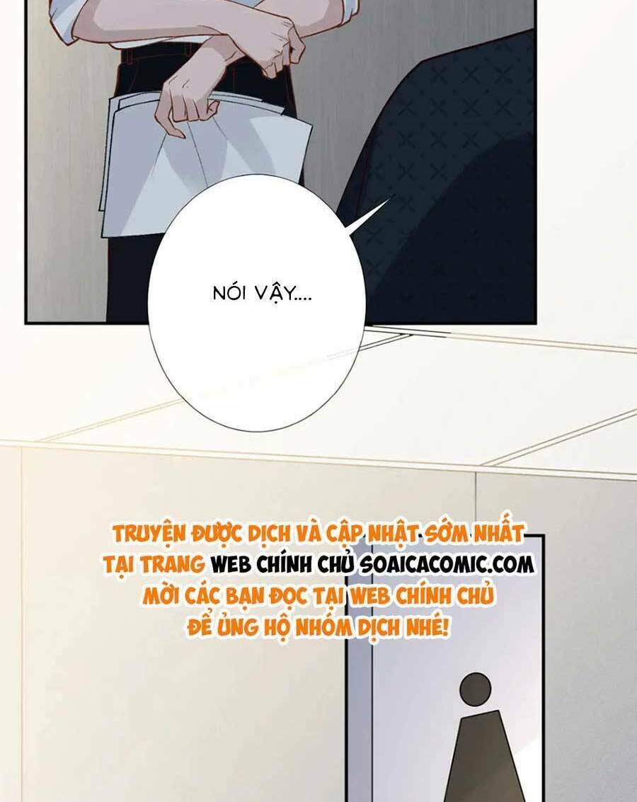 Ôm Khẩn Tiểu Mã Giáp Của Tôi Chapter 214 - Trang 2
