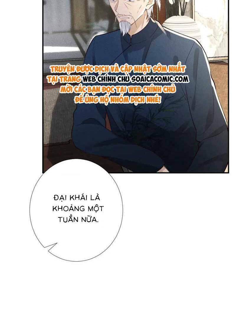 Ôm Khẩn Tiểu Mã Giáp Của Tôi Chapter 218 - Trang 2