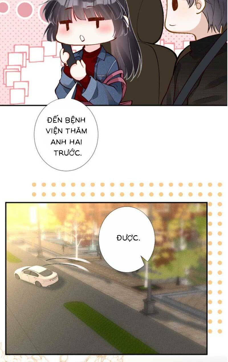 Ôm Khẩn Tiểu Mã Giáp Của Tôi Chapter 222 - Trang 2