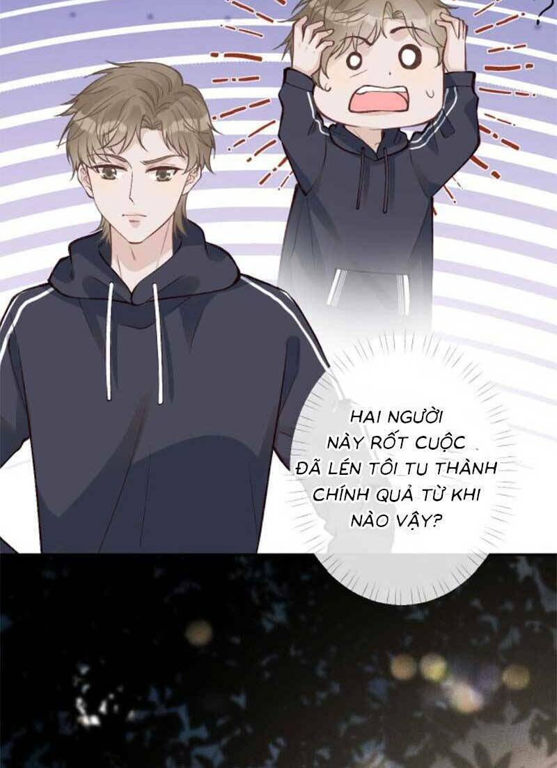 Ôm Khẩn Tiểu Mã Giáp Của Tôi Chapter 223 - Trang 2