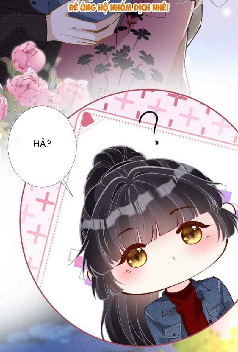 Ôm Khẩn Tiểu Mã Giáp Của Tôi Chapter 223 - Trang 2