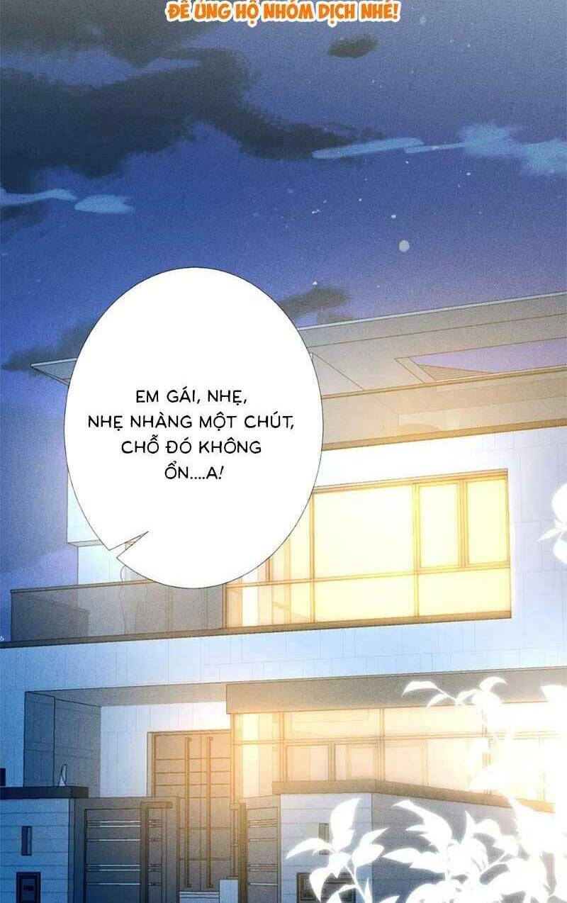 Ôm Khẩn Tiểu Mã Giáp Của Tôi Chapter 229 - Trang 2