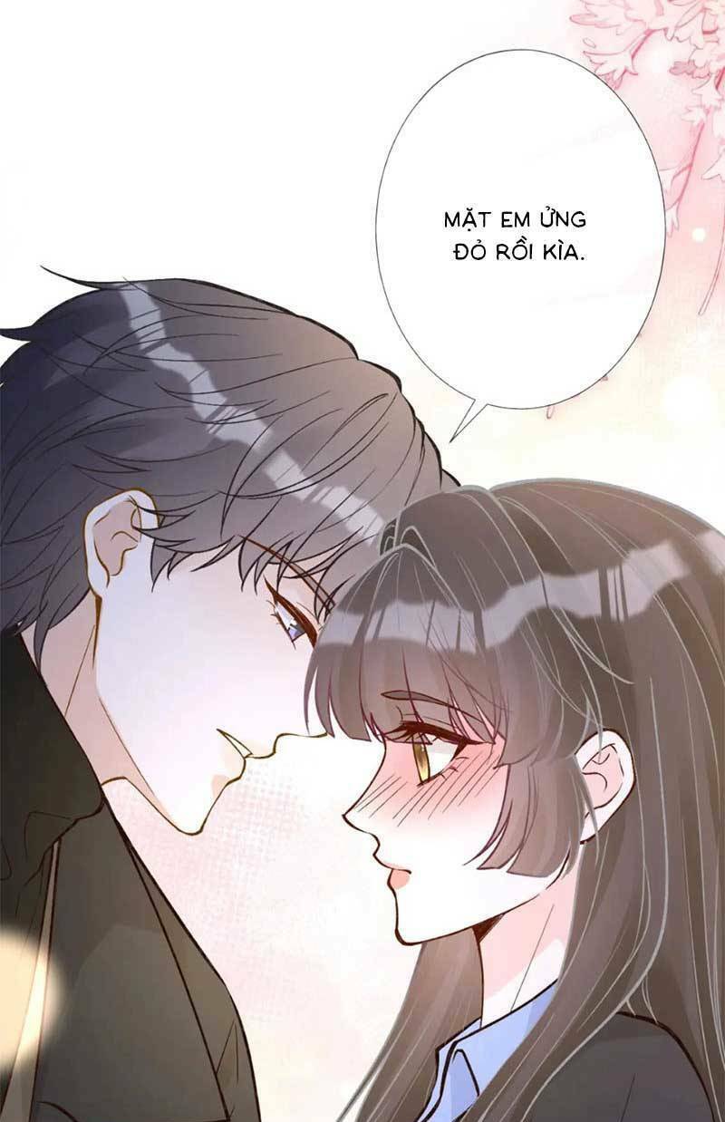 Ôm Khẩn Tiểu Mã Giáp Của Tôi Chapter 229 - Trang 2