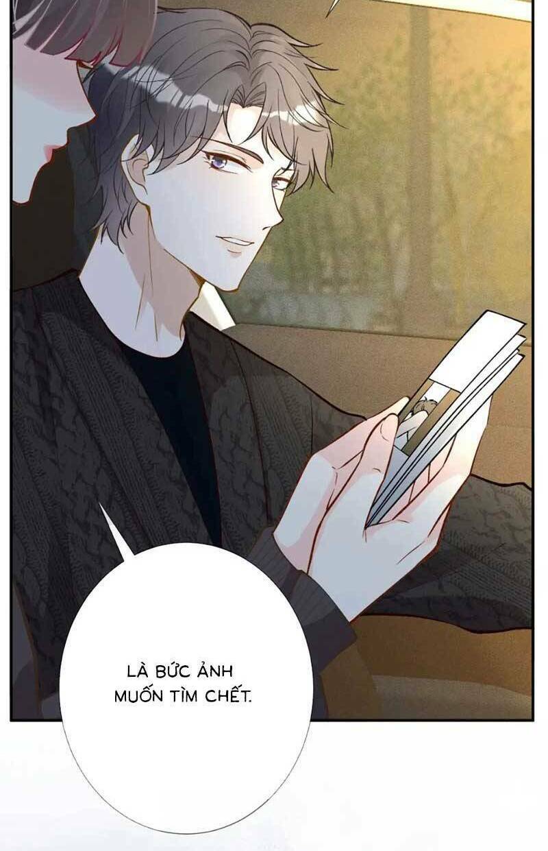 Ôm Khẩn Tiểu Mã Giáp Của Tôi Chapter 230 - Trang 2