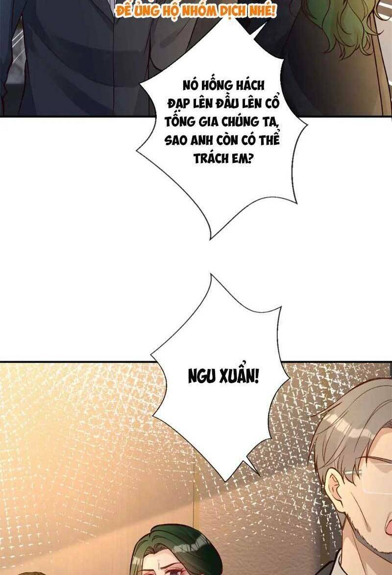 Ôm Khẩn Tiểu Mã Giáp Của Tôi Chapter 234 - Trang 2