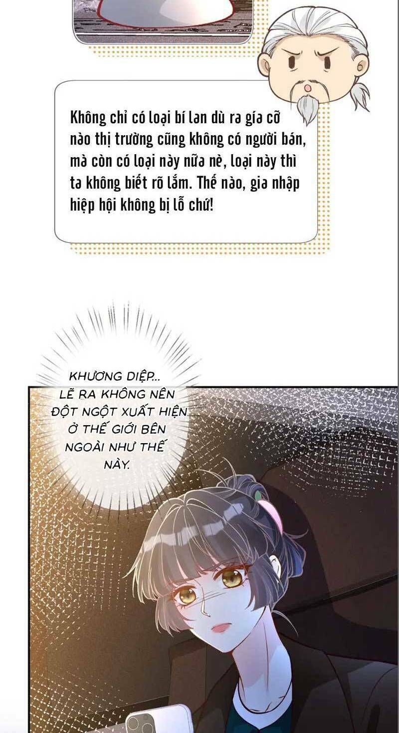 Ôm Khẩn Tiểu Mã Giáp Của Tôi Chapter 234 - Trang 2