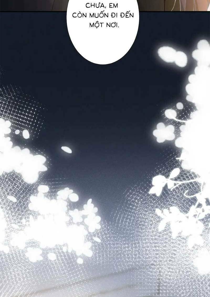 Ôm Khẩn Tiểu Mã Giáp Của Tôi Chapter 236 - Trang 2