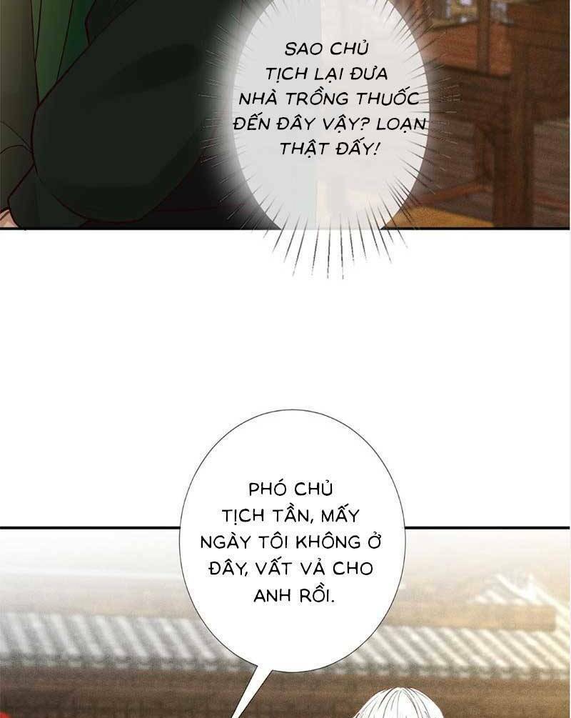 Ôm Khẩn Tiểu Mã Giáp Của Tôi Chapter 239 - Trang 2