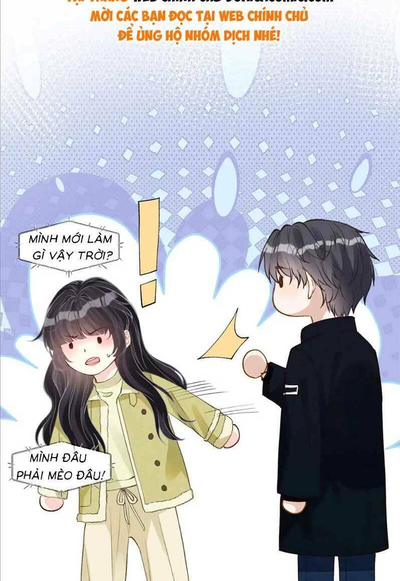 Ôm Khẩn Tiểu Mã Giáp Của Tôi Chapter 242 - Trang 2