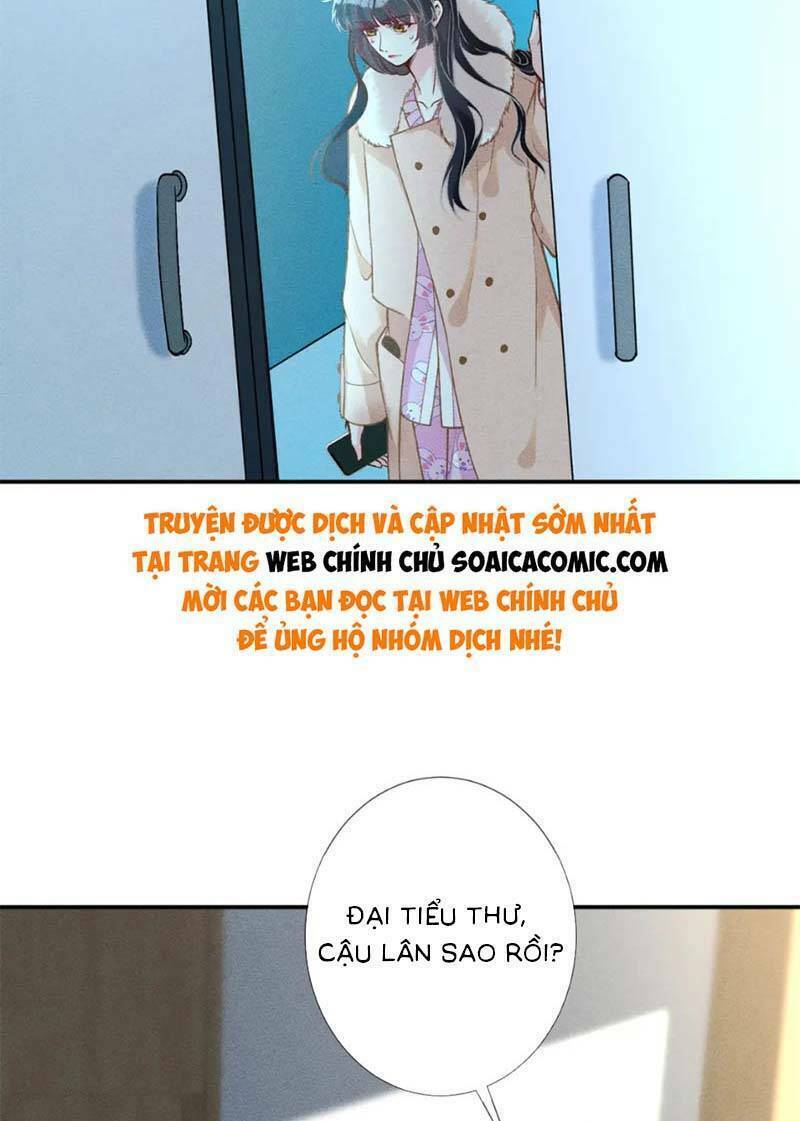 Ôm Khẩn Tiểu Mã Giáp Của Tôi Chapter 246 - Trang 2