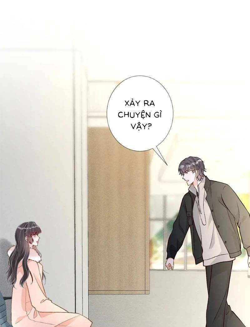 Ôm Khẩn Tiểu Mã Giáp Của Tôi Chapter 246 - Trang 2