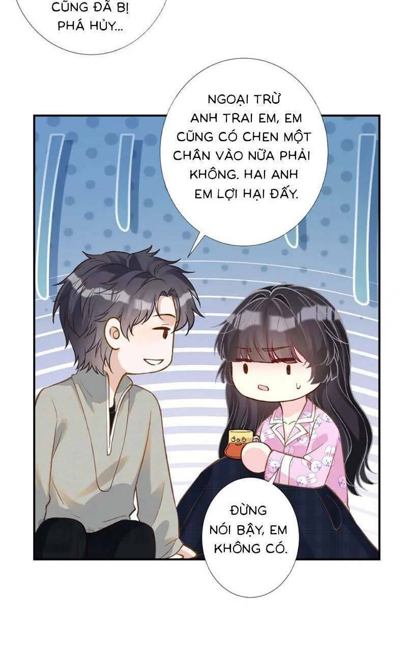 Ôm Khẩn Tiểu Mã Giáp Của Tôi Chapter 246 - Trang 2