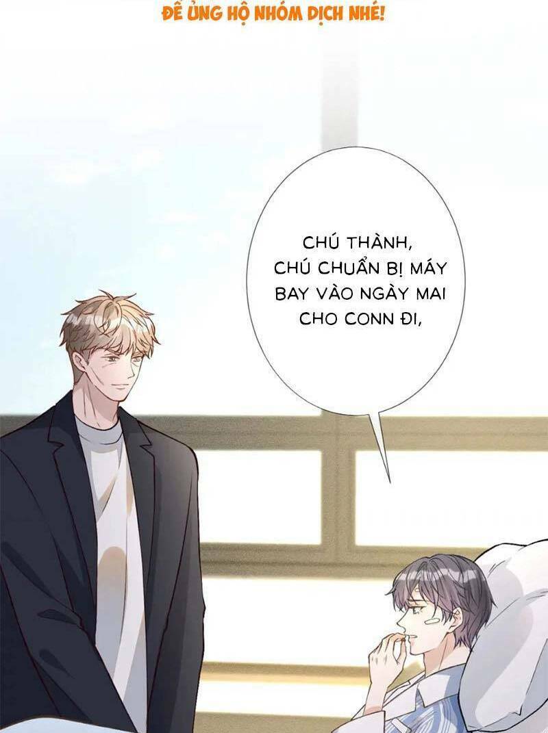 Ôm Khẩn Tiểu Mã Giáp Của Tôi Chapter 247 - Trang 2