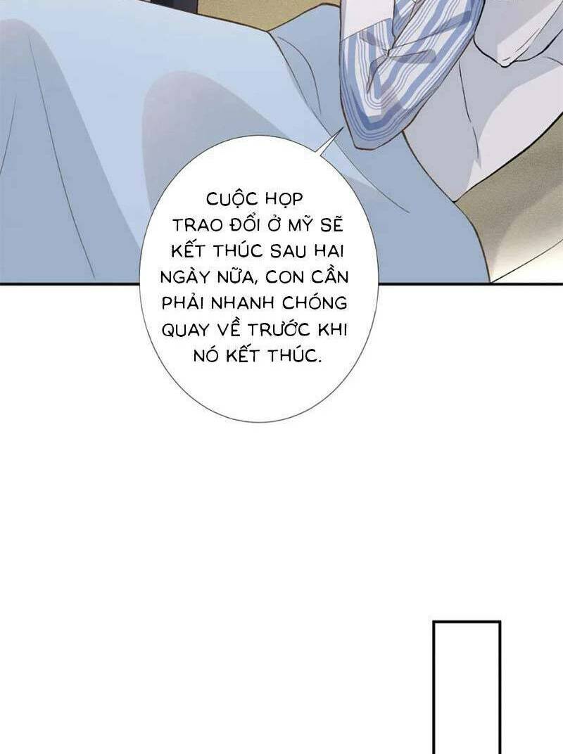 Ôm Khẩn Tiểu Mã Giáp Của Tôi Chapter 247 - Trang 2