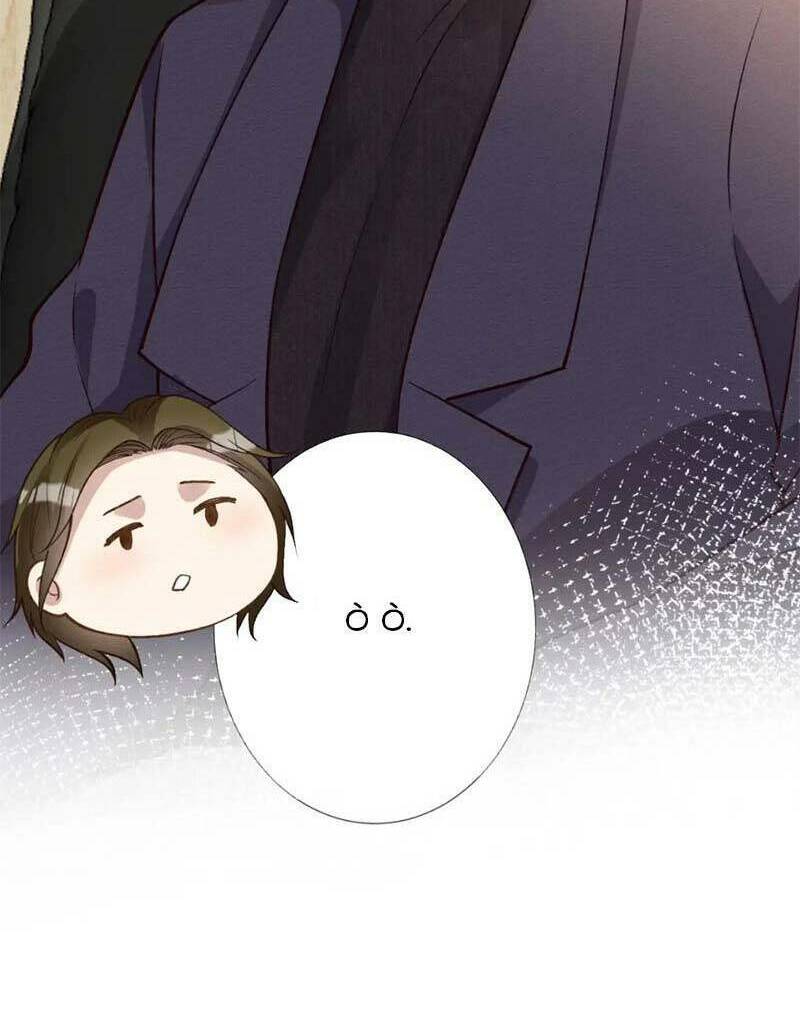 Ôm Khẩn Tiểu Mã Giáp Của Tôi Chapter 247 - Trang 2