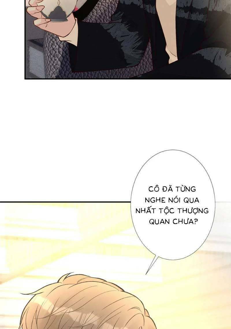 Ôm Khẩn Tiểu Mã Giáp Của Tôi Chapter 249 - Trang 2