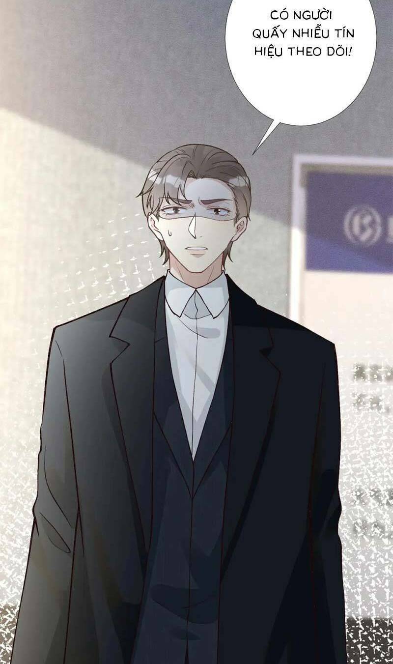 Ôm Khẩn Tiểu Mã Giáp Của Tôi Chapter 250 - Trang 2