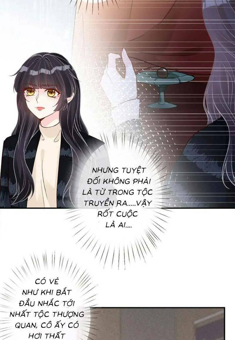 Ôm Khẩn Tiểu Mã Giáp Của Tôi Chapter 250 - Trang 2