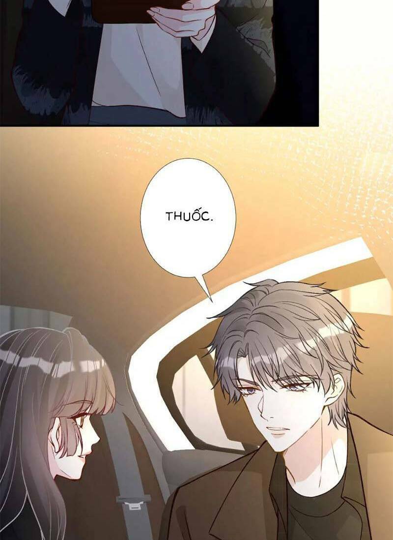 Ôm Khẩn Tiểu Mã Giáp Của Tôi Chapter 250 - Trang 2