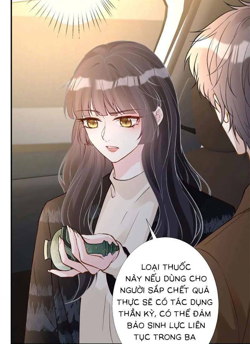 Ôm Khẩn Tiểu Mã Giáp Của Tôi Chapter 250 - Trang 2