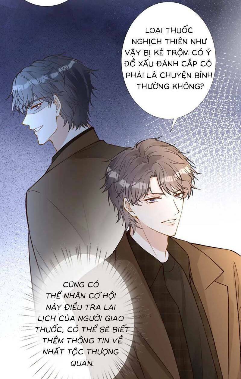 Ôm Khẩn Tiểu Mã Giáp Của Tôi Chapter 250 - Trang 2