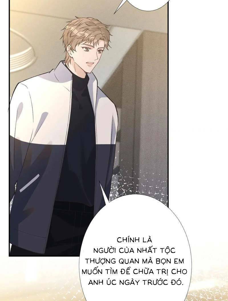 Ôm Khẩn Tiểu Mã Giáp Của Tôi Chapter 251 - Trang 2