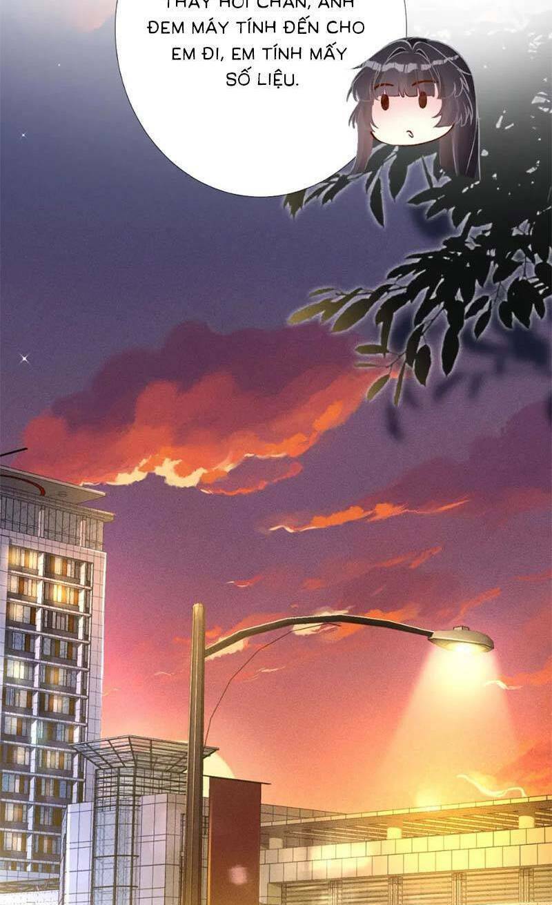 Ôm Khẩn Tiểu Mã Giáp Của Tôi Chapter 255 - Trang 2