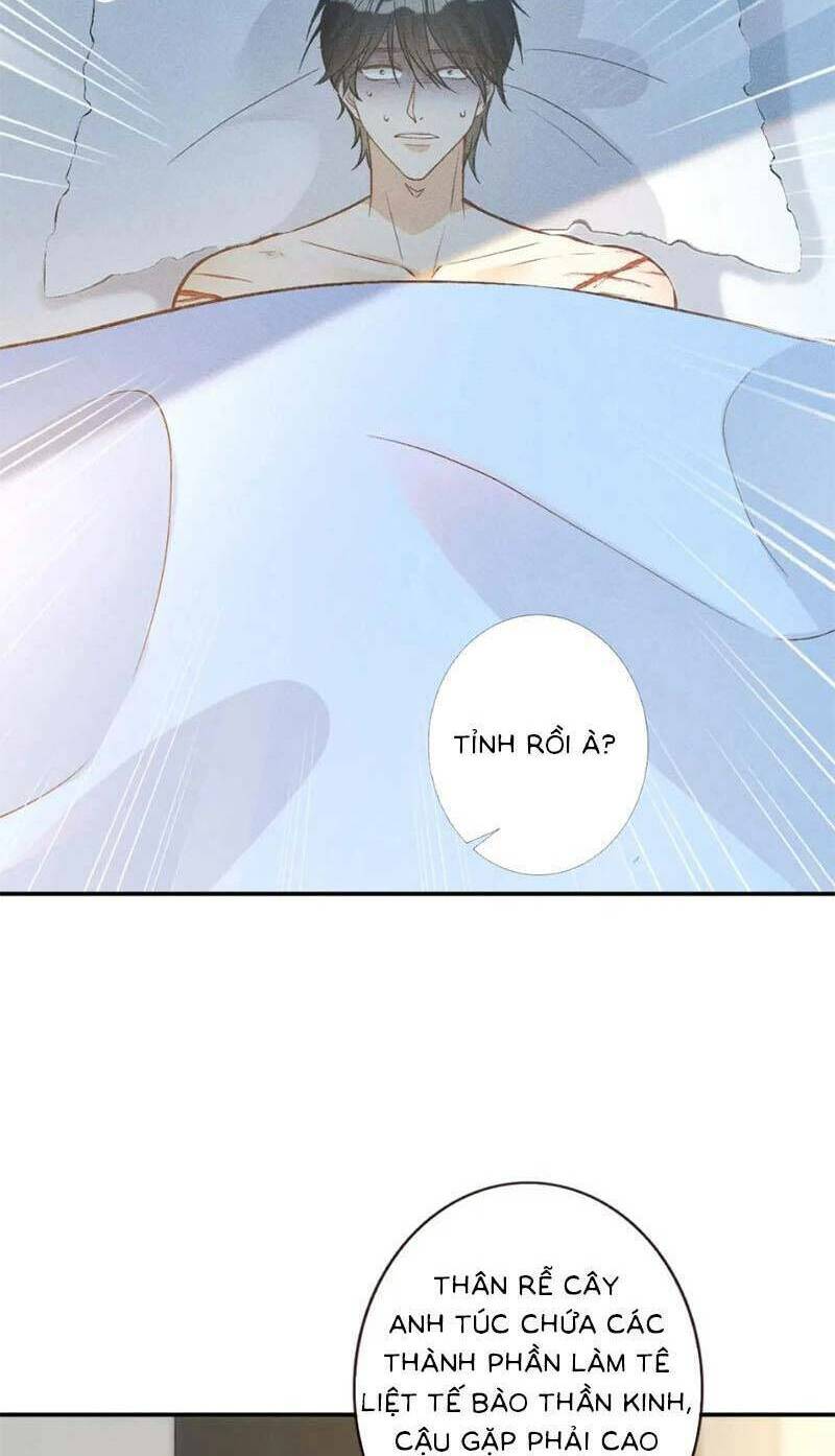 Ôm Khẩn Tiểu Mã Giáp Của Tôi Chapter 256 - Trang 2