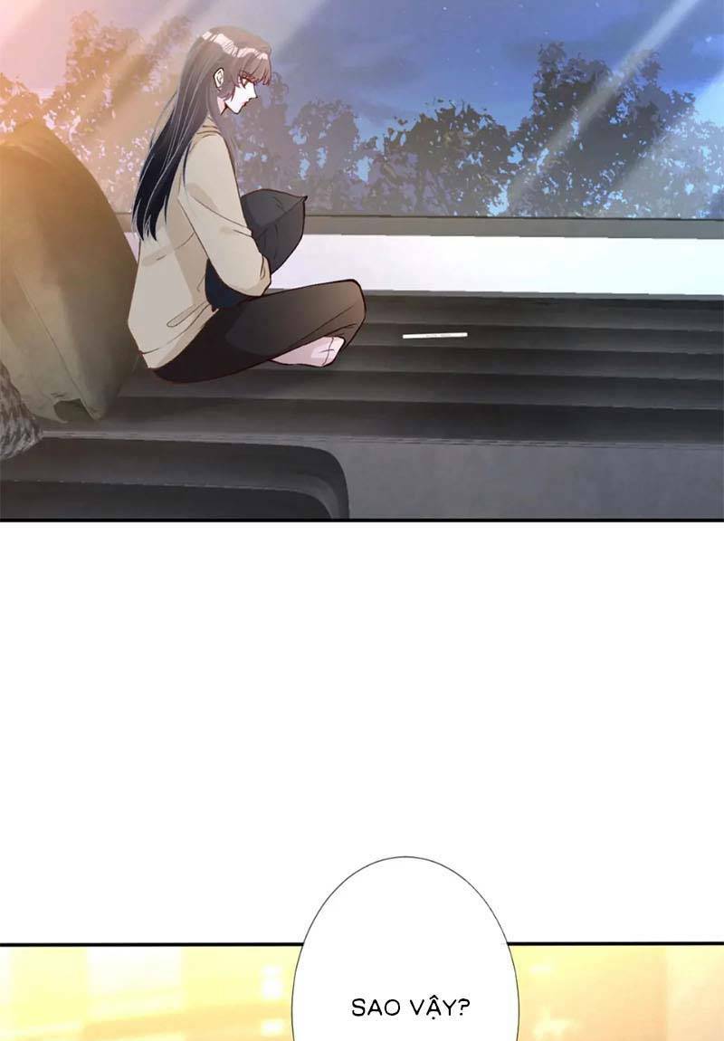 Ôm Khẩn Tiểu Mã Giáp Của Tôi Chapter 258 - Trang 2