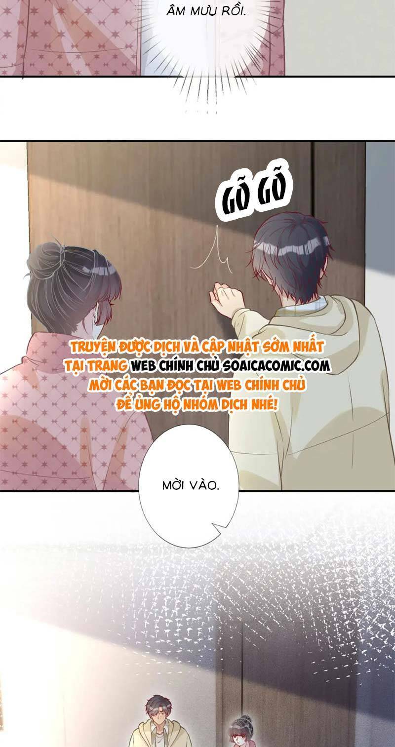 Ôm Khẩn Tiểu Mã Giáp Của Tôi Chapter 259 - Trang 2