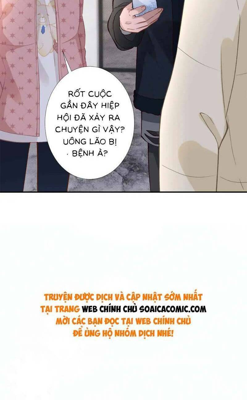 Ôm Khẩn Tiểu Mã Giáp Của Tôi Chapter 260 - Trang 2