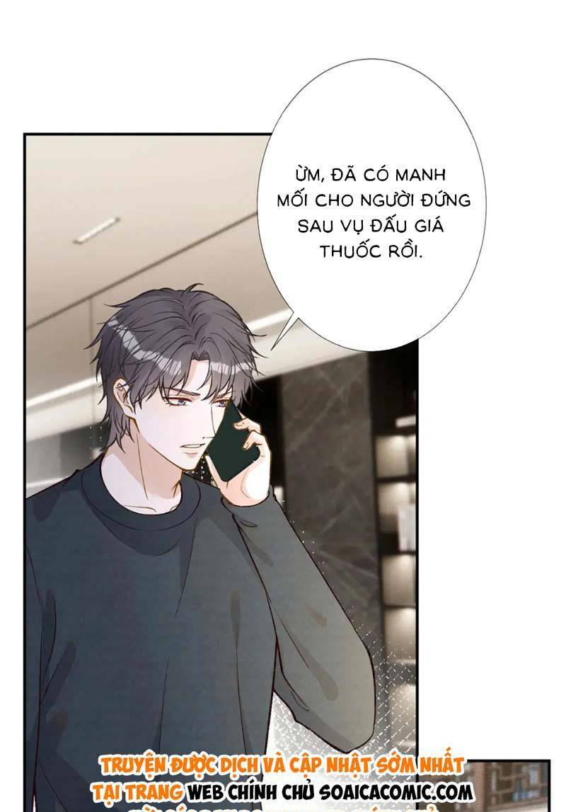 Ôm Khẩn Tiểu Mã Giáp Của Tôi Chapter 261 - Trang 2
