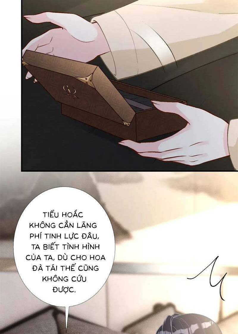 Ôm Khẩn Tiểu Mã Giáp Của Tôi Chapter 262 - Trang 2