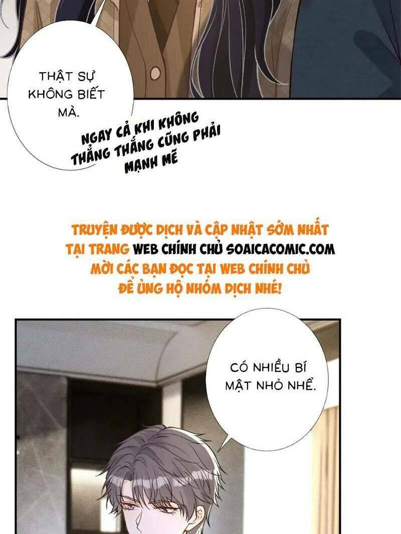 Ôm Khẩn Tiểu Mã Giáp Của Tôi Chapter 262 - Trang 2