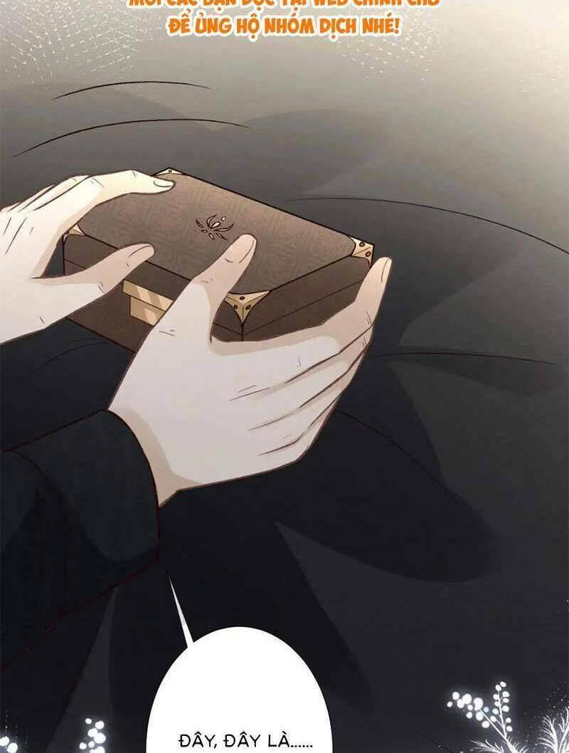 Ôm Khẩn Tiểu Mã Giáp Của Tôi Chapter 262 - Trang 2