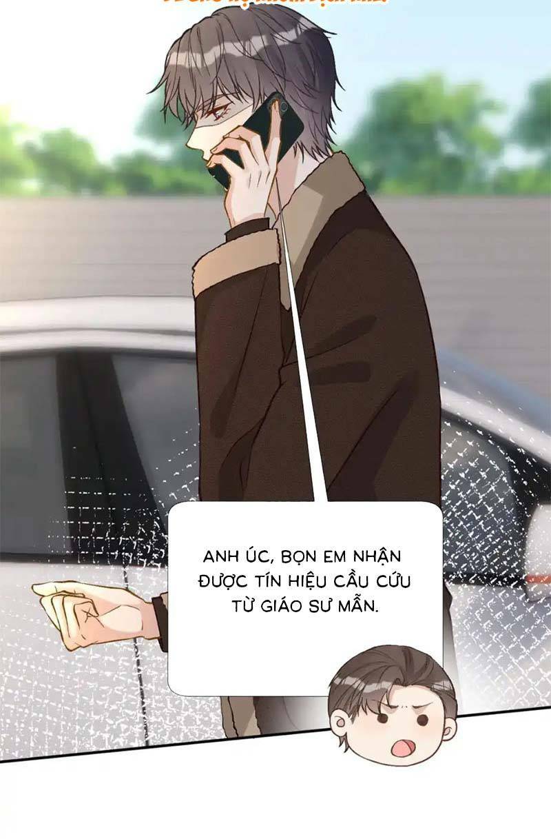 Ôm Khẩn Tiểu Mã Giáp Của Tôi Chapter 263 - Trang 2