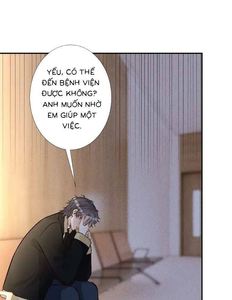 Ôm Khẩn Tiểu Mã Giáp Của Tôi Chapter 264 - Trang 2