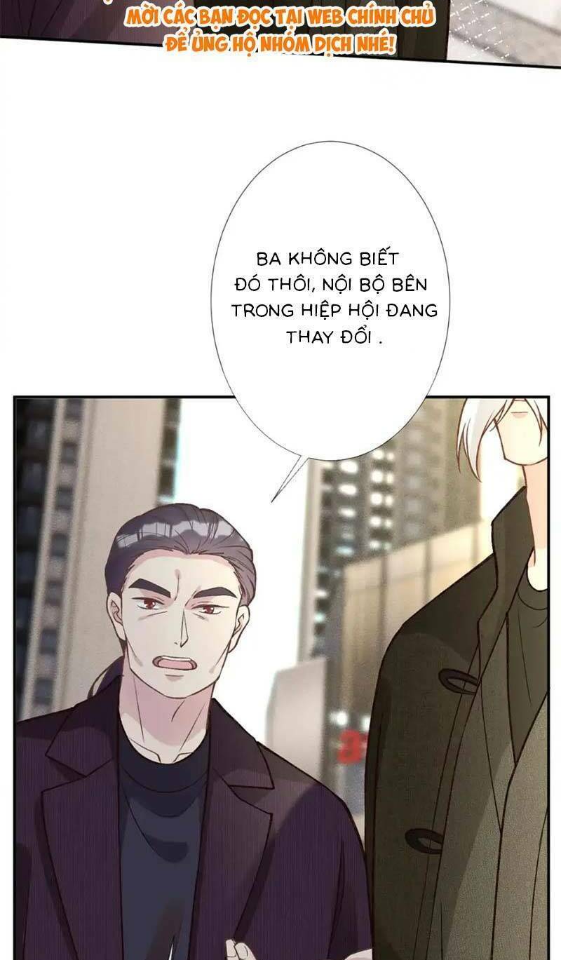 Ôm Khẩn Tiểu Mã Giáp Của Tôi Chapter 264 - Trang 2