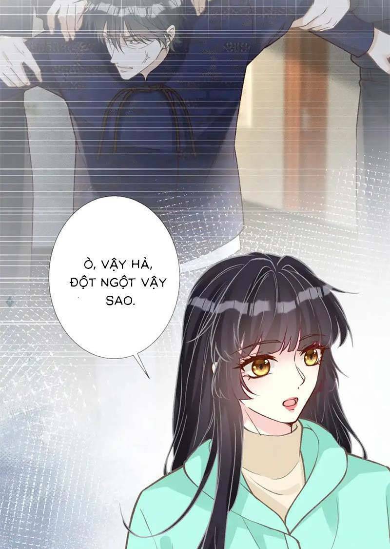 Ôm Khẩn Tiểu Mã Giáp Của Tôi Chapter 264 - Trang 2