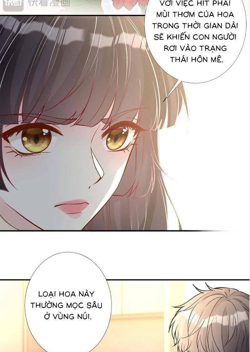 Ôm Khẩn Tiểu Mã Giáp Của Tôi Chapter 265 - Trang 2