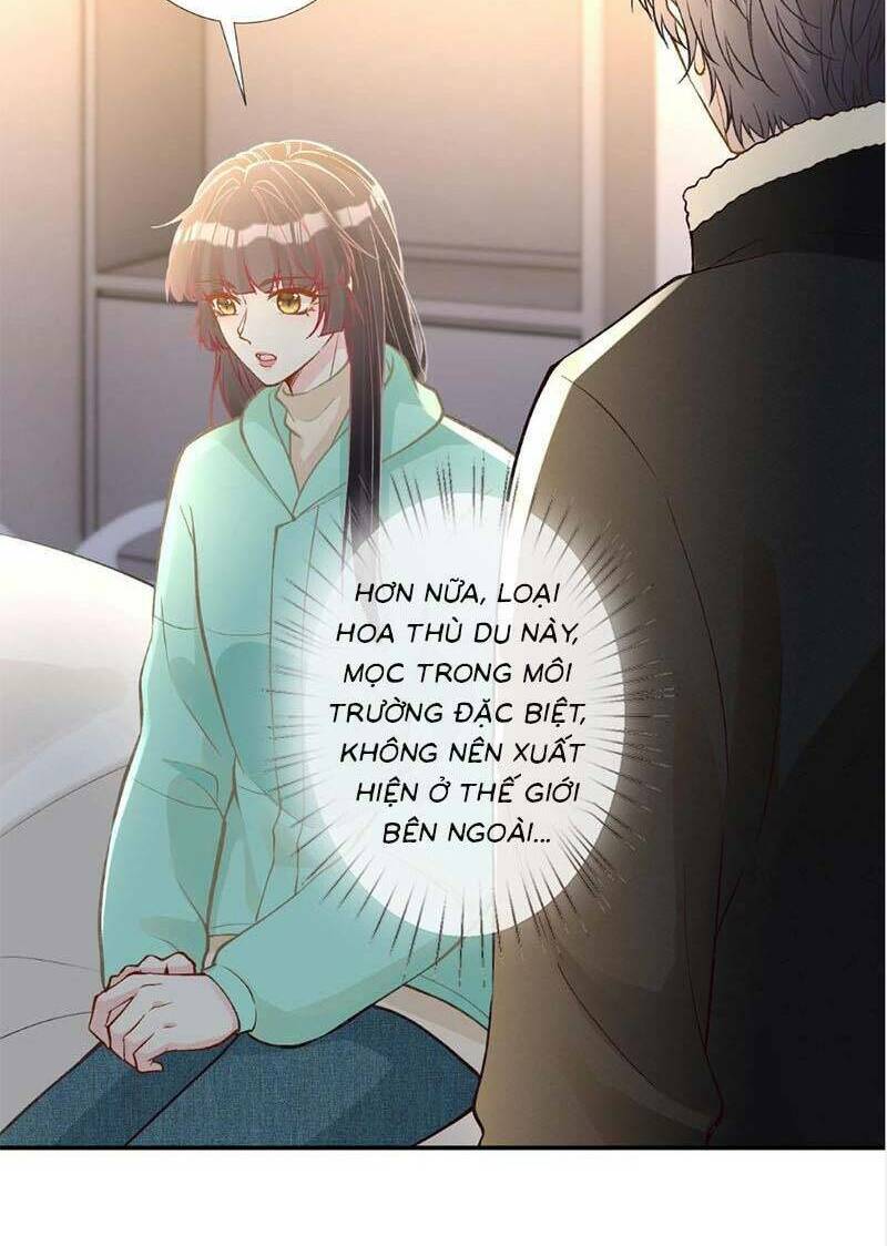 Ôm Khẩn Tiểu Mã Giáp Của Tôi Chapter 265 - Trang 2